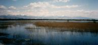 Lake_skadar.jpg