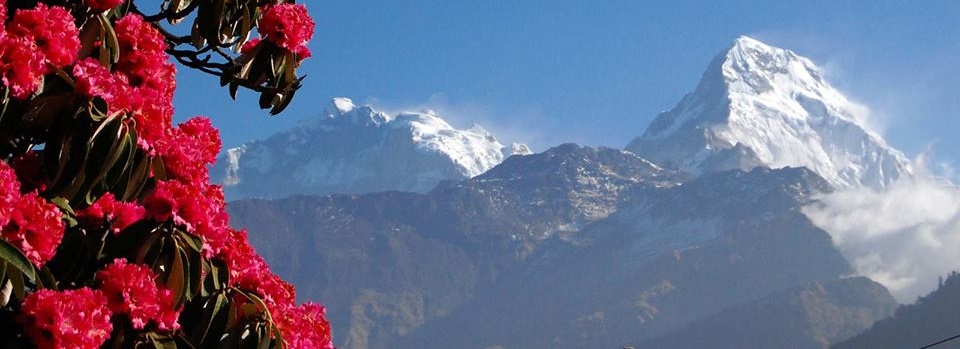 Dhaulagiri I from Poon Hill