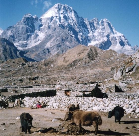 Thagna Village on descent from Chola La