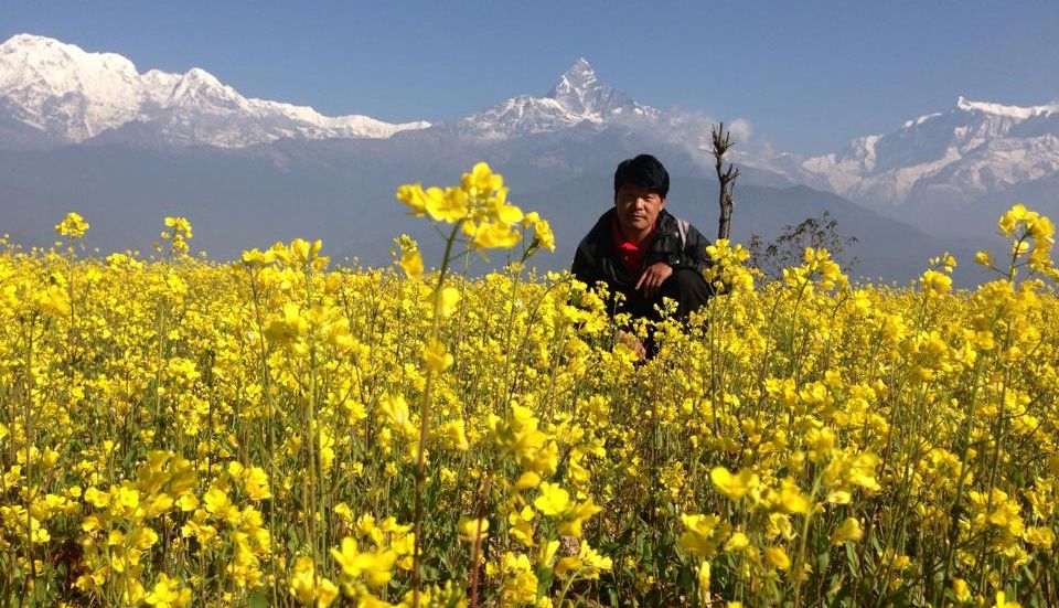 Annapurna South Peak, Macchapucchre ( Fishtail Mountain ) and Annapurna II from Phewa Tal in Pokhara