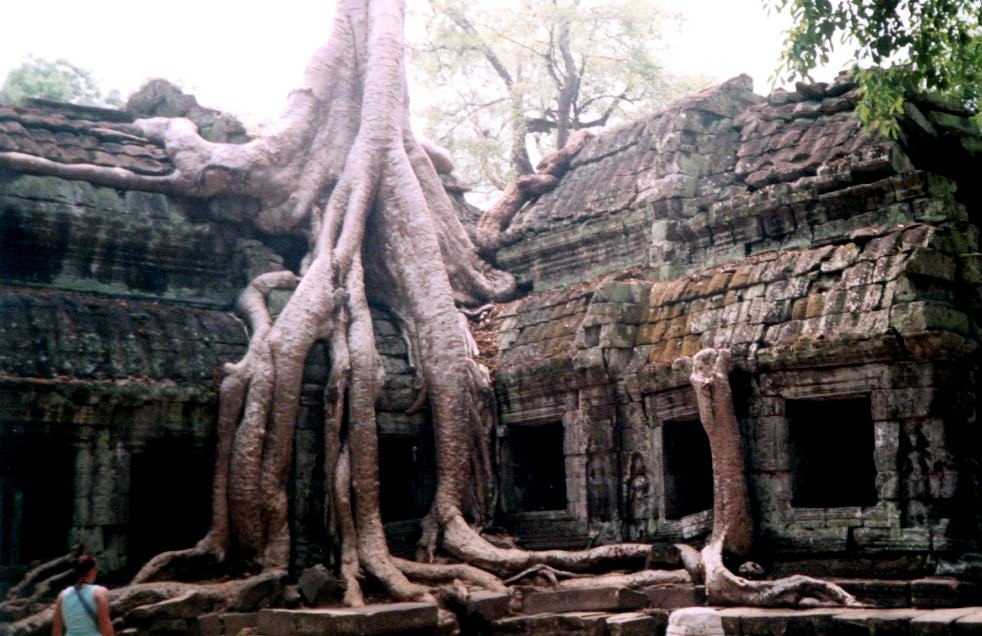 Ta Prohm Temple at Siem Reap in northern Cambodia