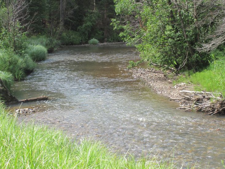 Colorado River in Rocky Mountain National Park