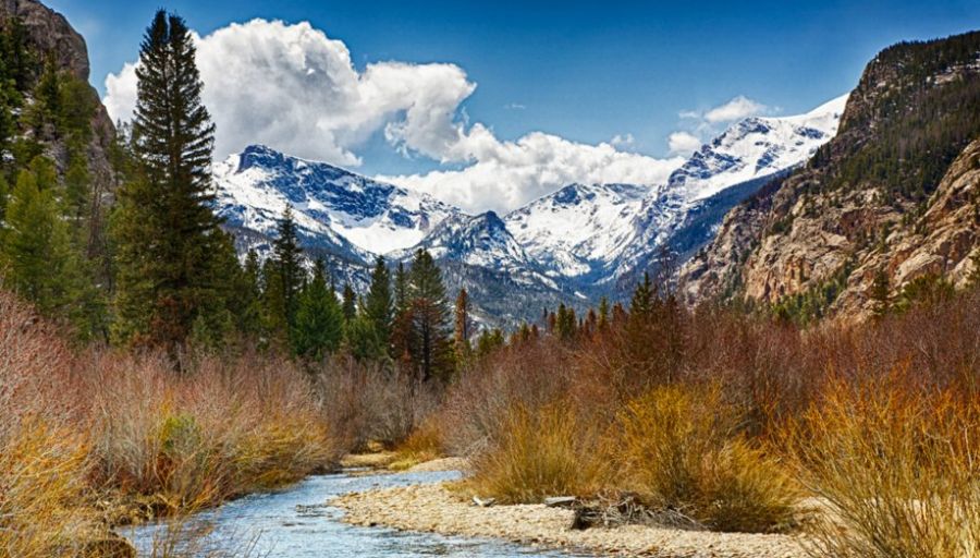 Upper Meadow in Moraine Park in the Rocky Mountain National Park