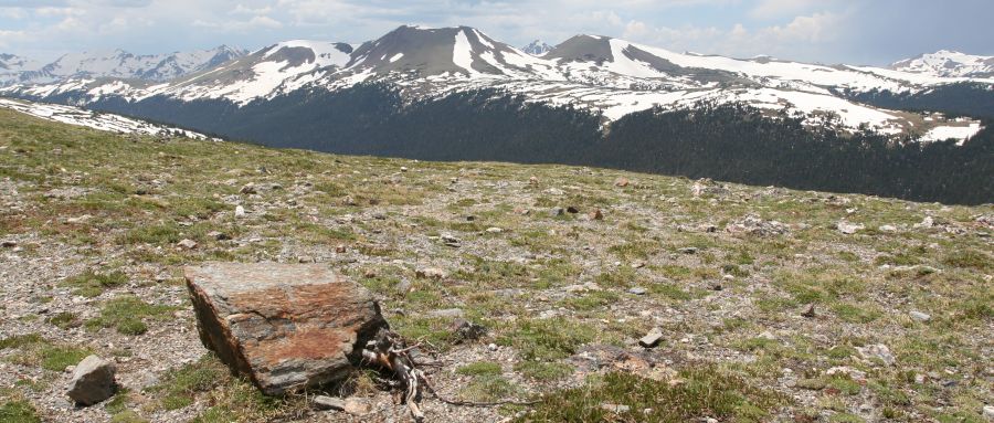 Colorado Rockies from Trail Ridge in Rocky Mountain National Park