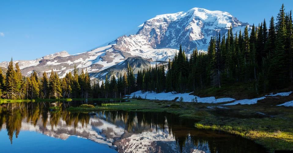 Mount Rainier ( 4392m ) Pacific Ranges, Washington State, USA from Colquhoun Peak