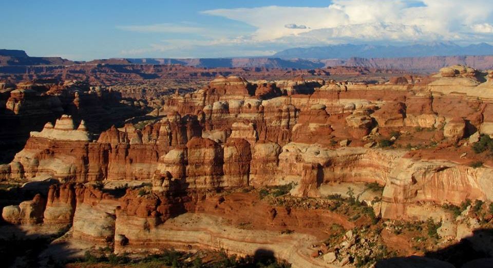 Sandstone Pinnacles in the Needles District of Canyonlands National Parkon the trail from Elephant Hill to Chesler Park