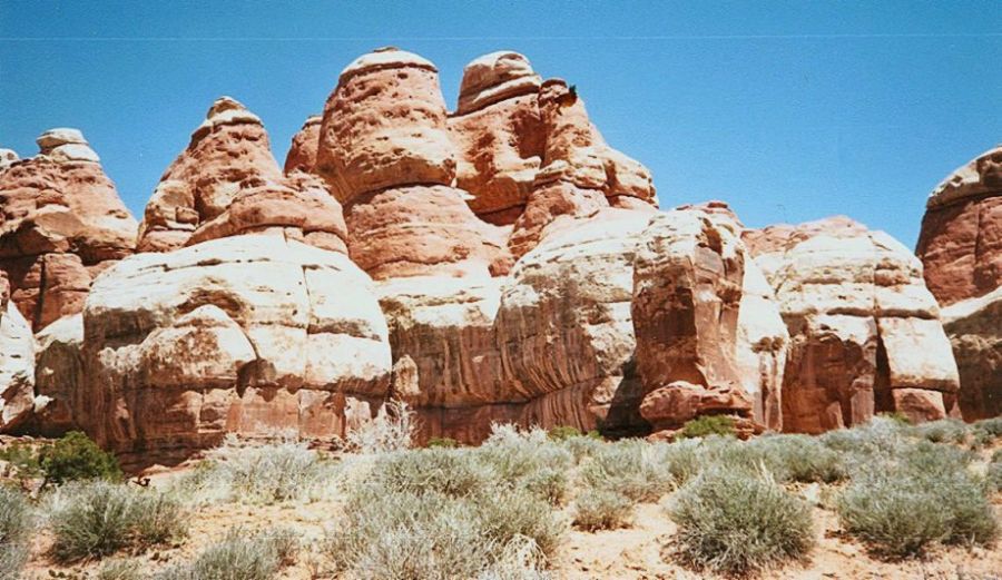 Sandstone Pinnacles in the Needles District of Canyonlands National Park - trail from Elephant Hill to Chesler Park