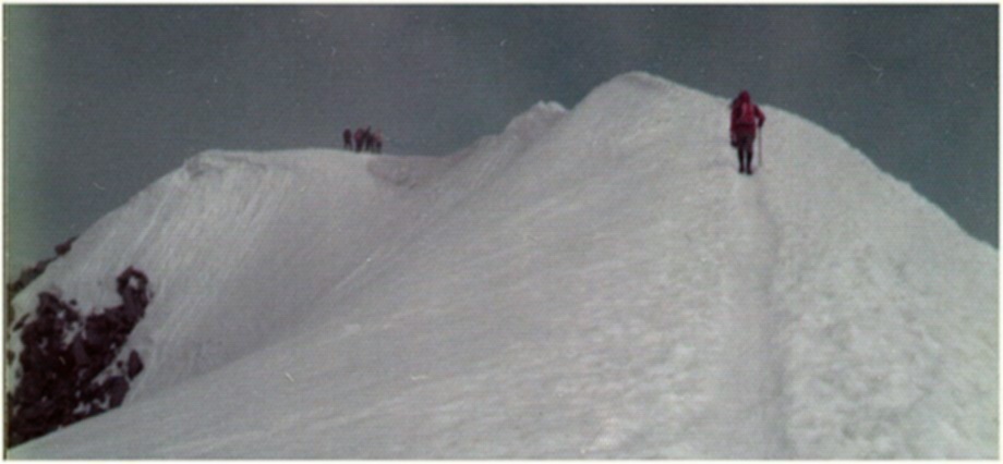 Climbing final arete to summit of the Gross Venediger