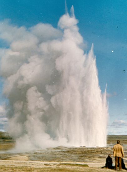 Geyser in Iceland