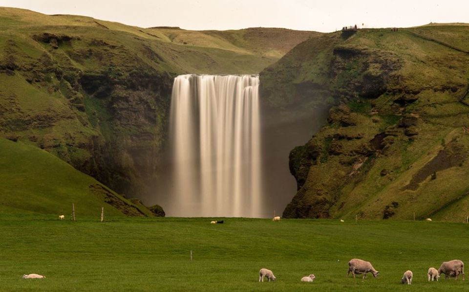 Skogafoss Waterfall in Iceland