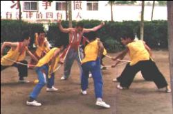 http://www.shaolin-wushu.de/