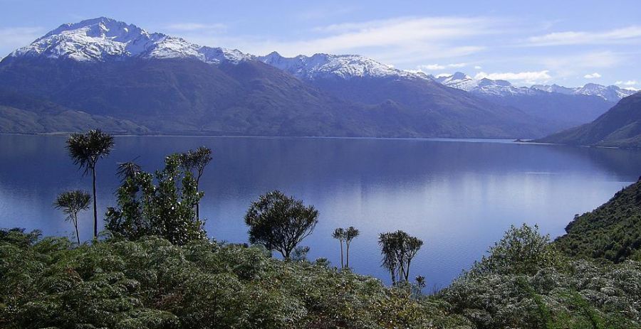 Lake Wanaka in the South Island of New Zealand