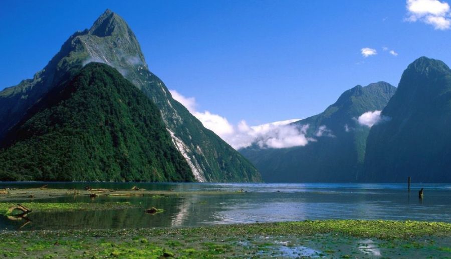 Mitre Peak in Milford Sound in South Island of New Zealand