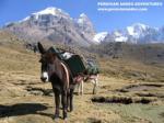 Viconga camp - Cordillera Huayhuash.jpg