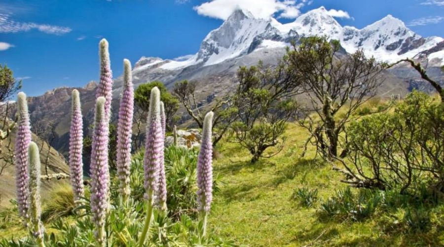 Huandoy ( 6360m, 20,870ft ) in the Cordillera Blanca