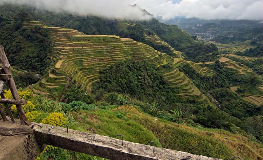 Banaue rice terraces