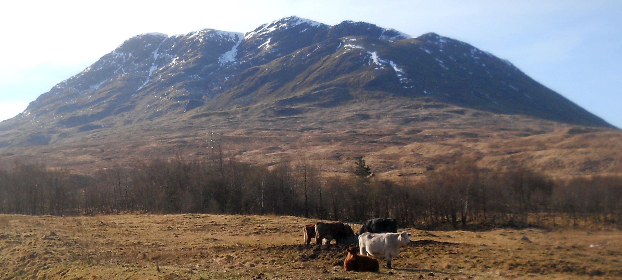 Beinn an Dothaidh from Achaladar Farm