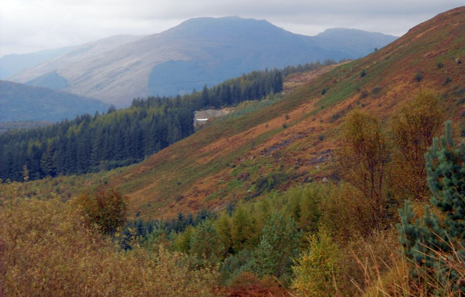 Ben Vorlich from Cashel Forest