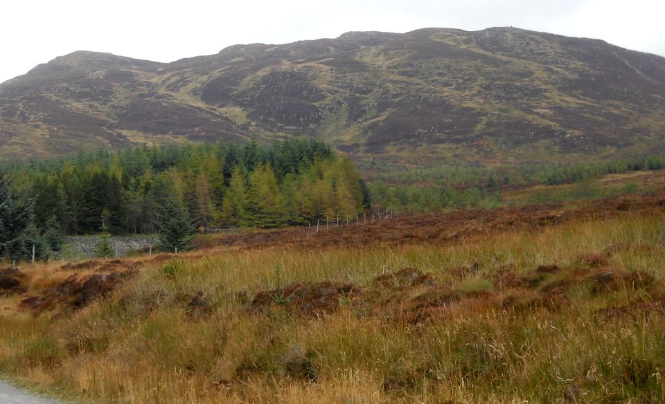 Beinn Bhreac from Cashel Forest