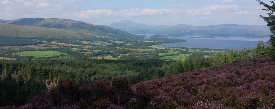 Loch Lomond from Ben Bowie