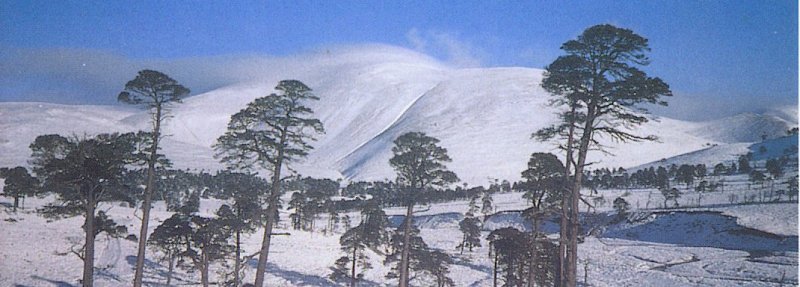 Beinn a Bhuird from Glen Quoich