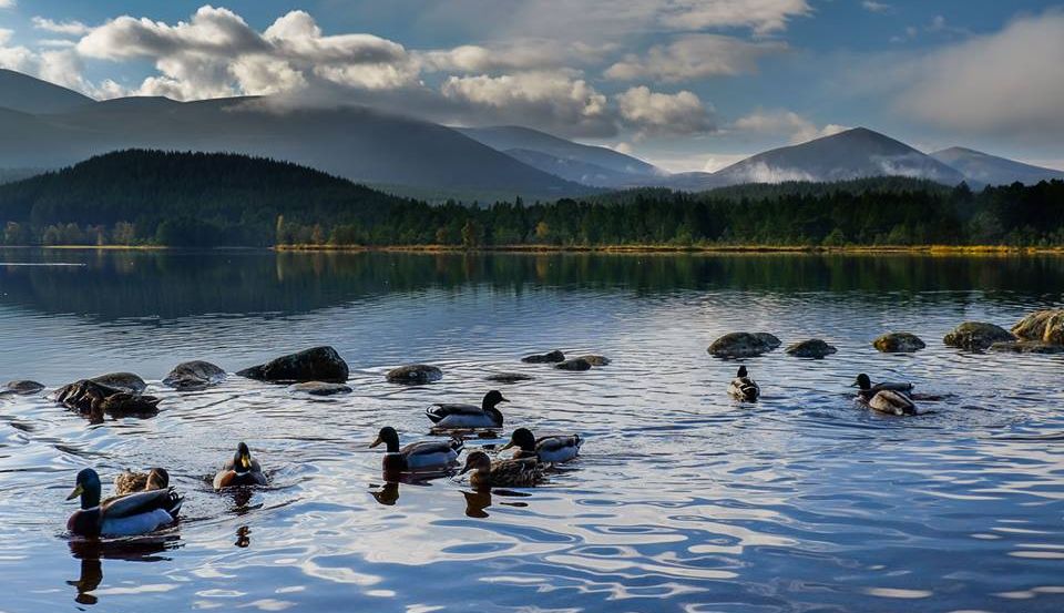 Loch Morlich in the Cairngorms of Scotland