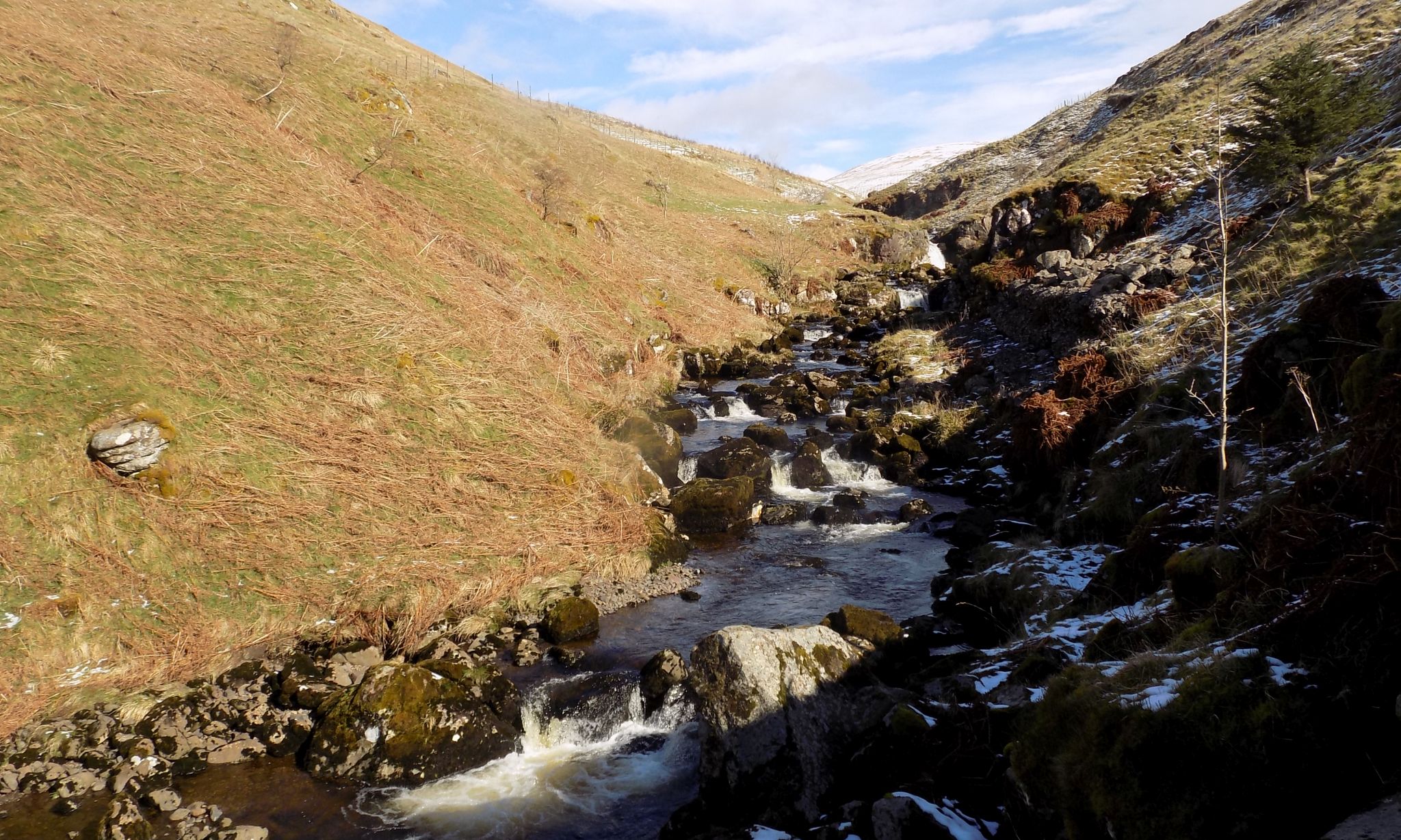 Kirk Burn in Campsie Glen