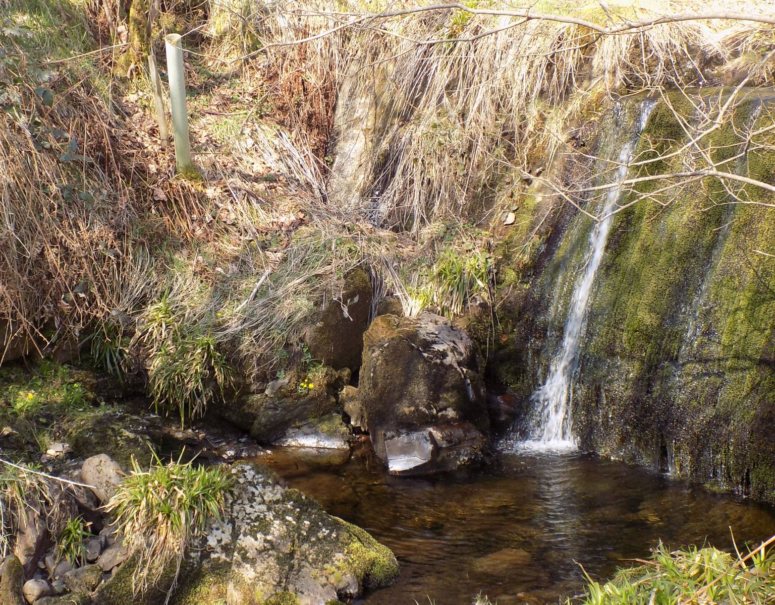 Waterfall above Allanhead