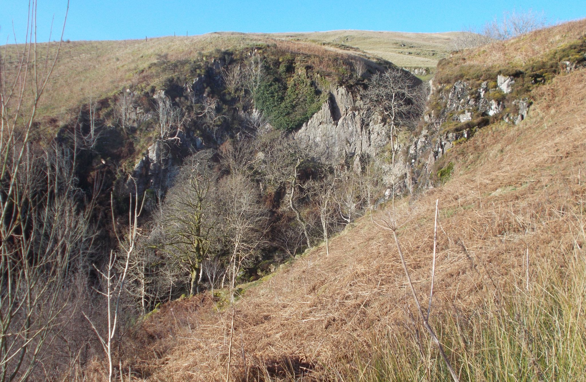 Ballagan Glen on the Campsie Fells