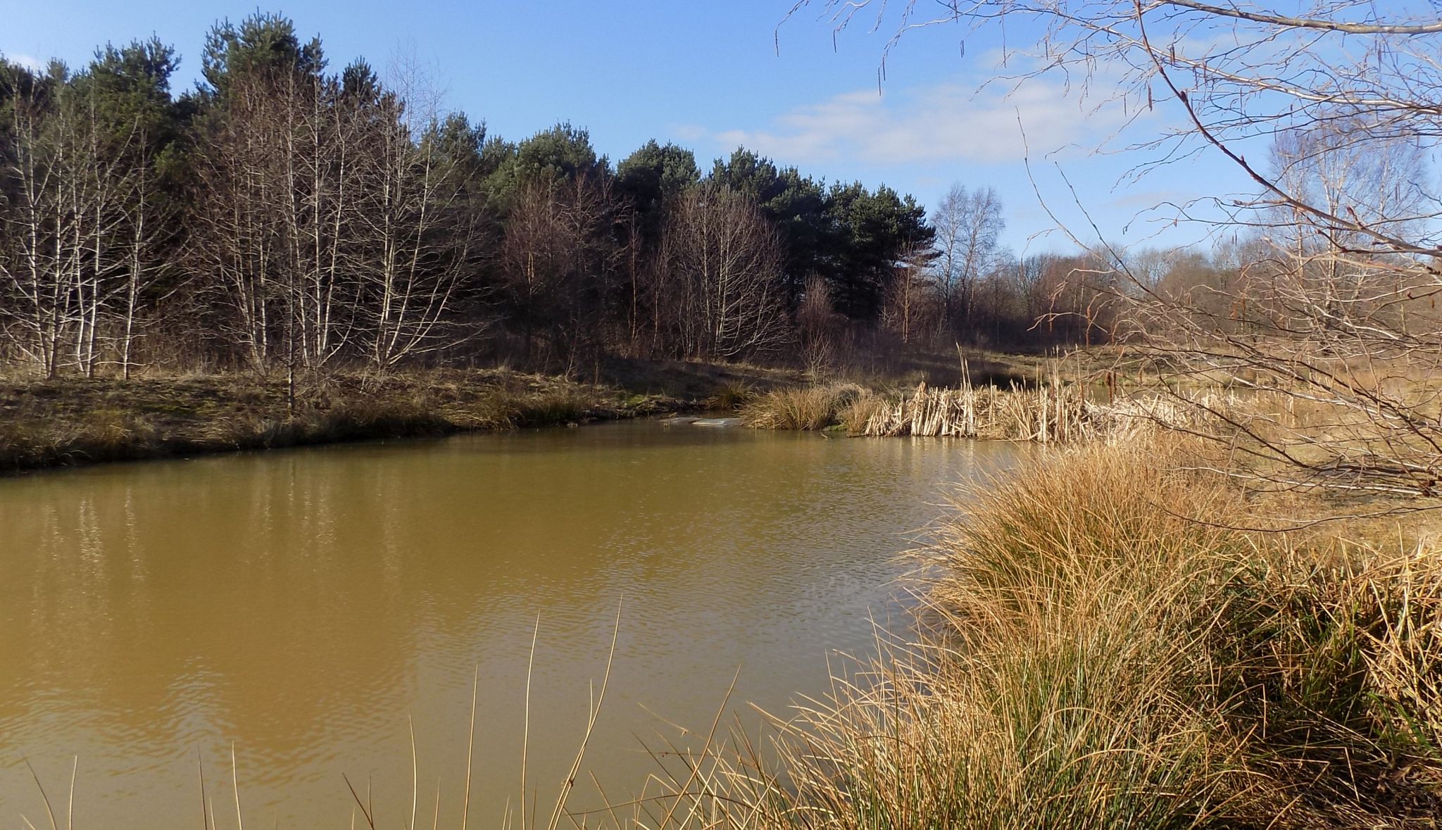 Lochan in Brownsburn Community Park