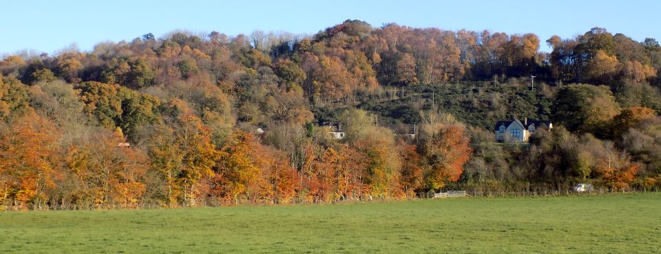 View from Clyde Walkway at Orchard Farm