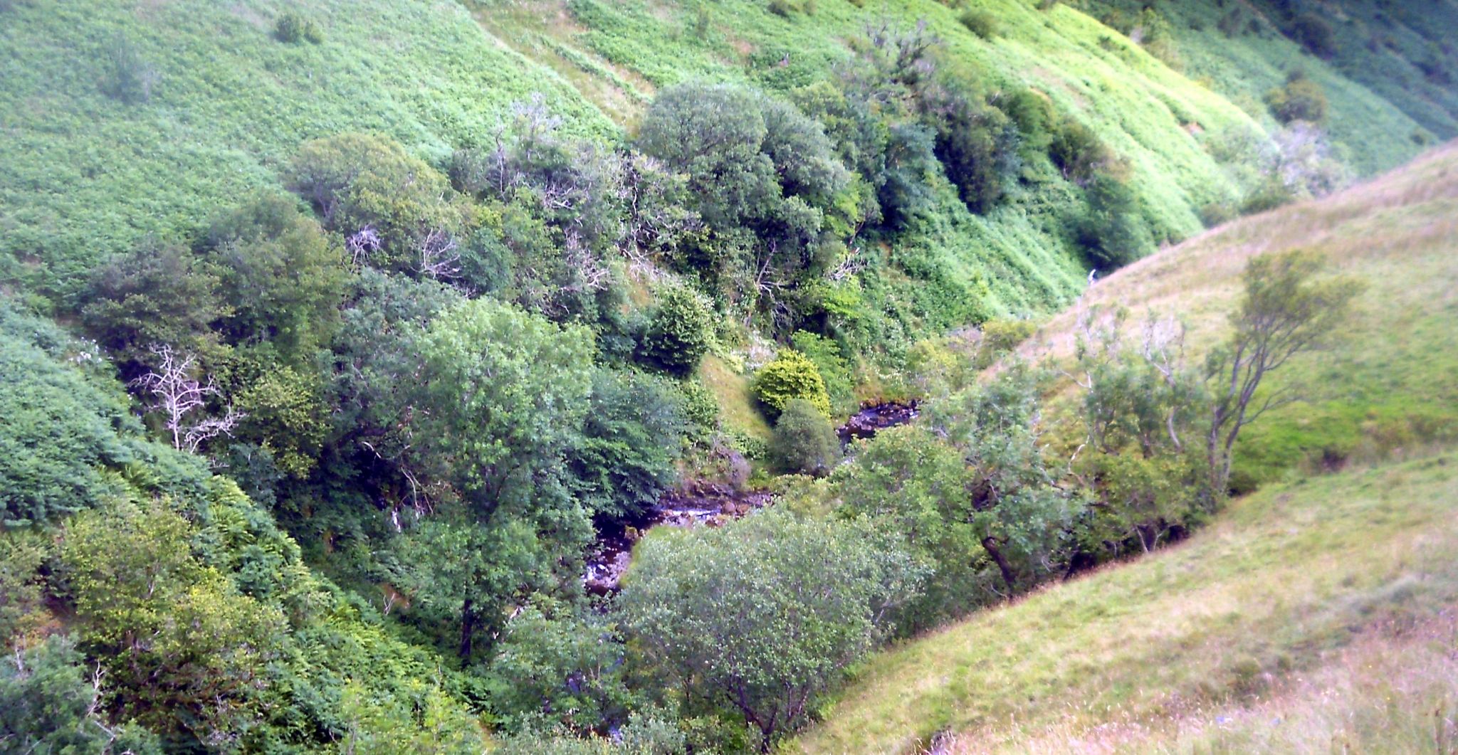 Chasm of Finglen Burn