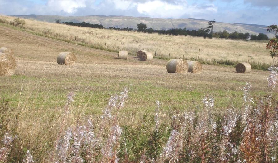 Hay fields and Campsie Fells from Forth & Clyde Canal in Glasgow