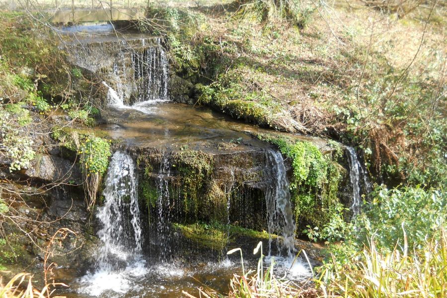 Waterfall from Mill pond in Geilston Gardens