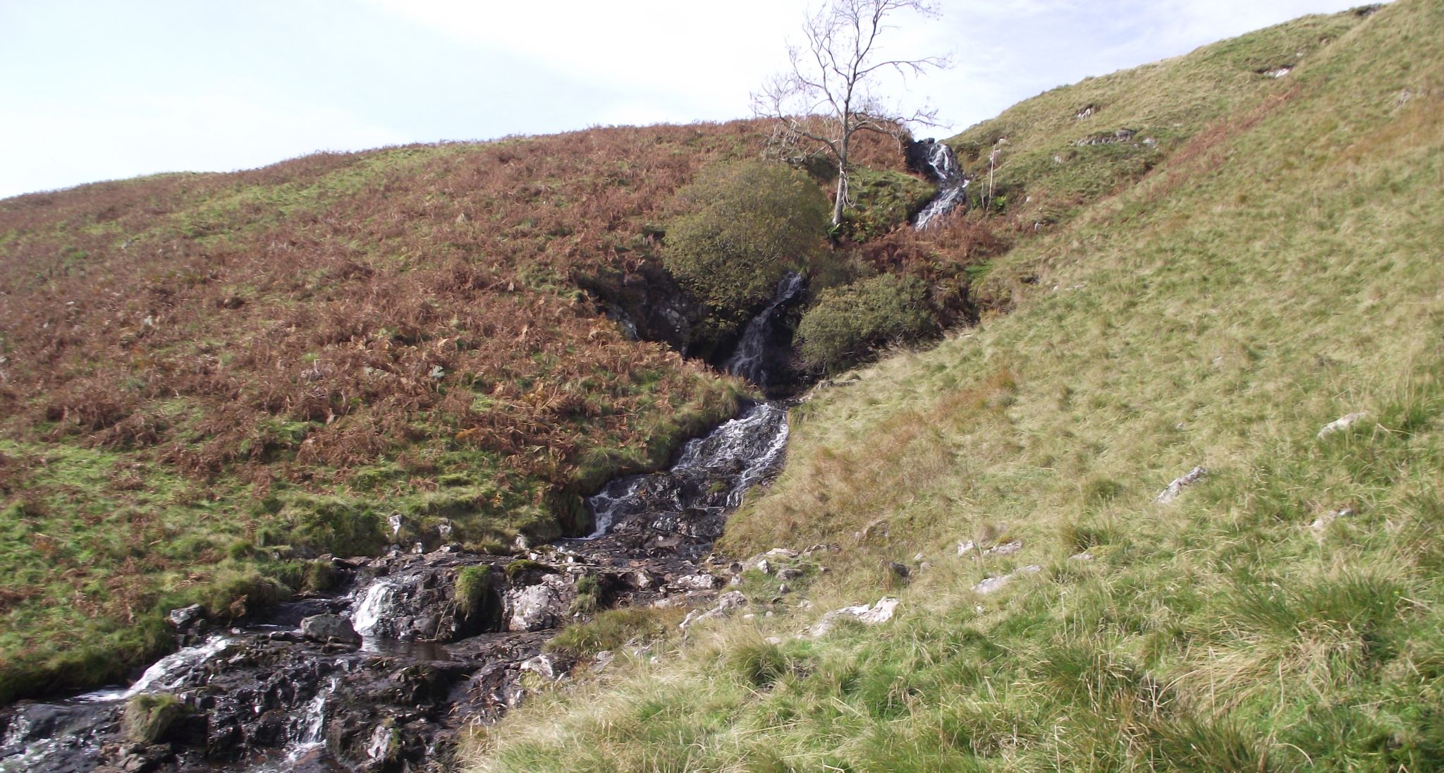 Waterfalls in side-stream in Gonachan Glen