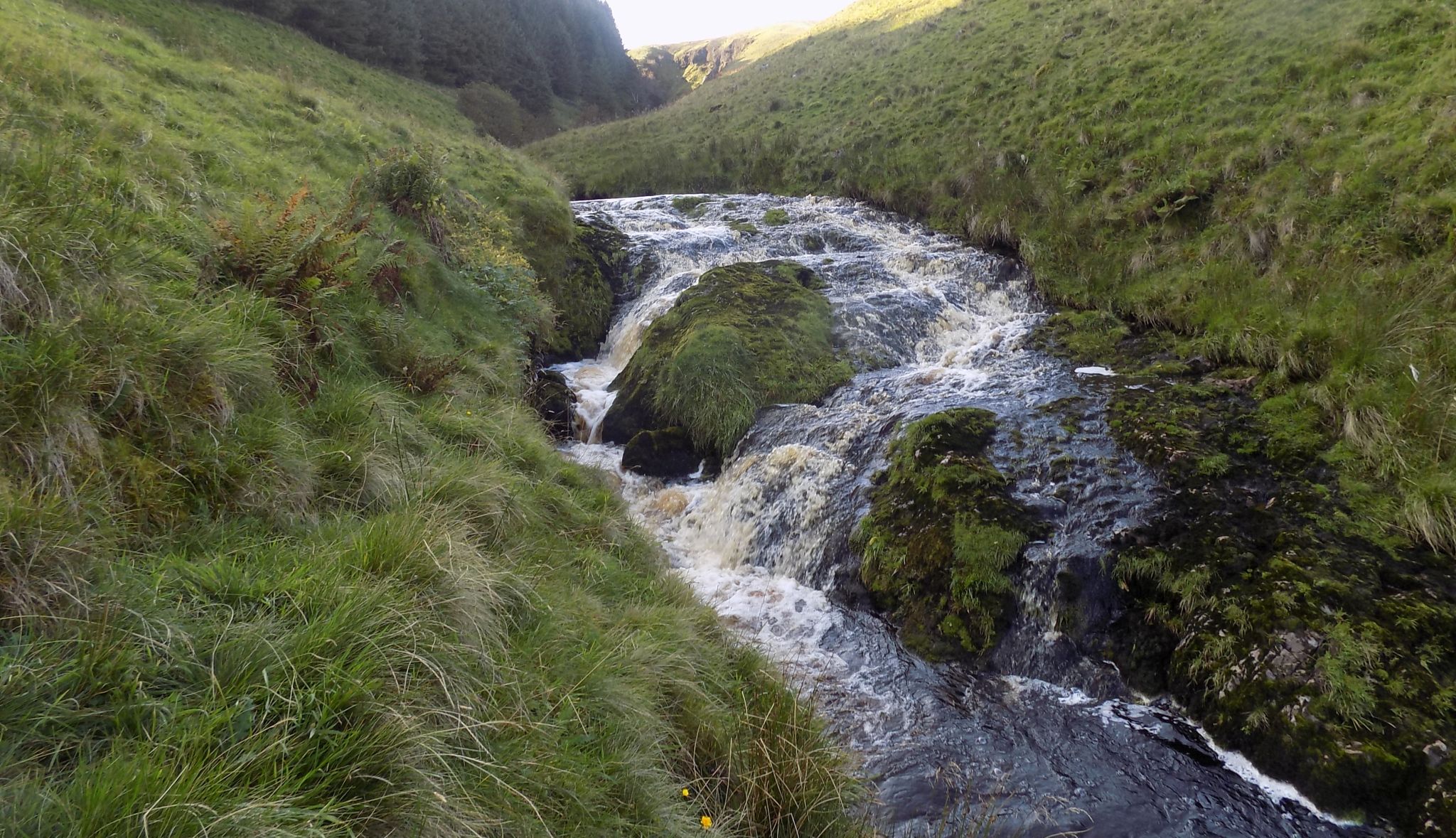 Waterfalls on Gonachan Burn below the Hole of Kailrine in the Campsie Fells