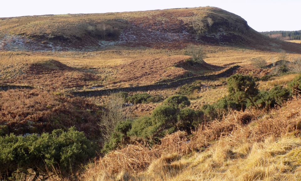 Tomibeg on Dumbarton Muir