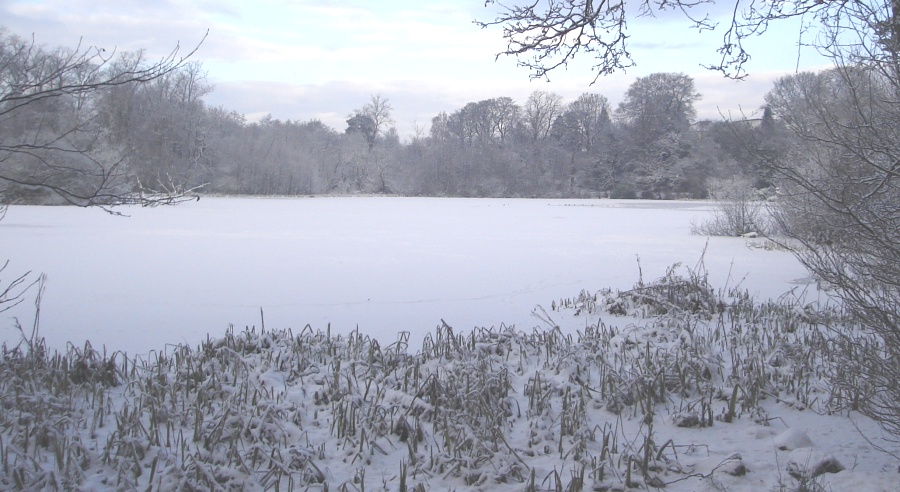 Winter snow scene at Kilmardinny Loch in Bearsden