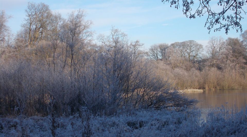 Kilmardinny Loch in winter