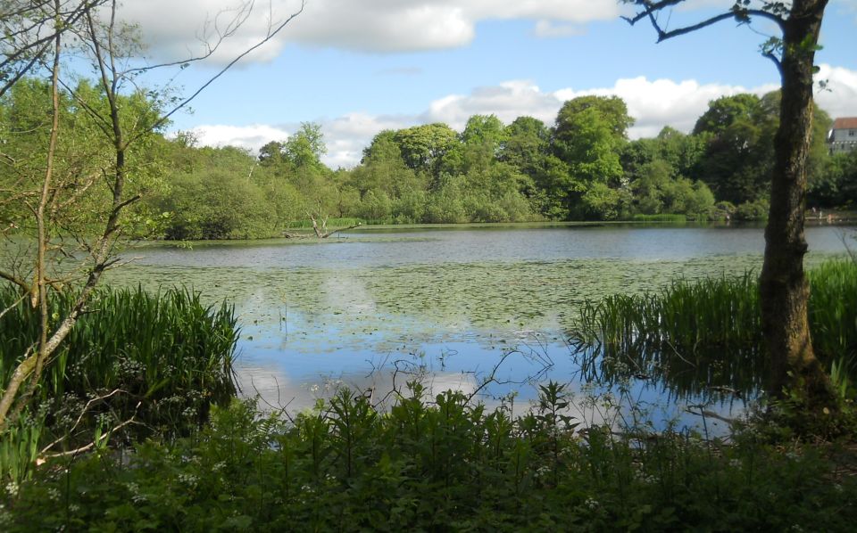 Kilmardinny Loch in Bearsden