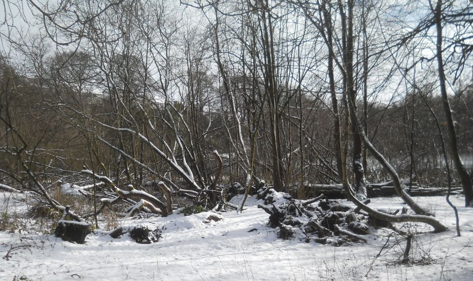 Winter snow scene at Kilmardinny Loch