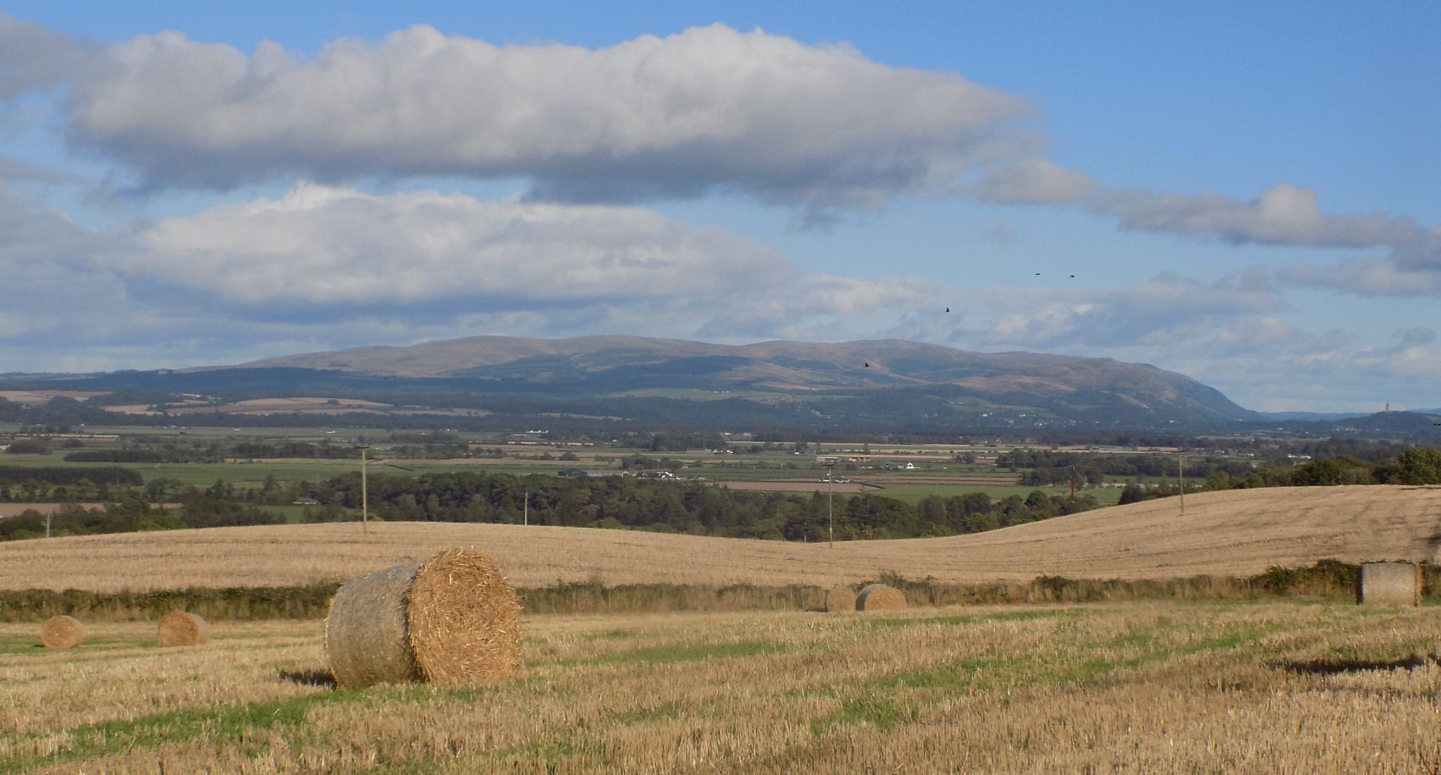 Ochil Hills from Burnside Road