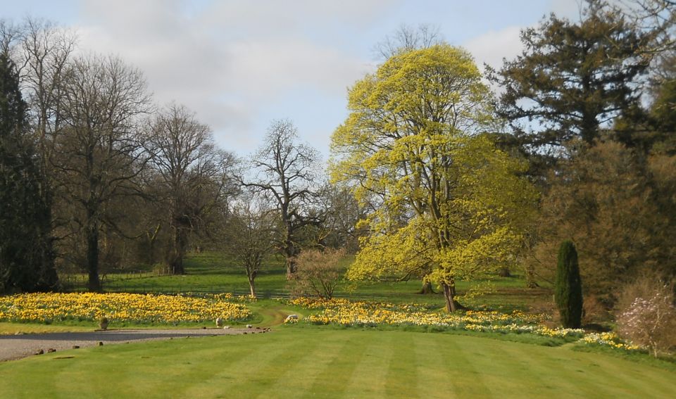 Grounds of Arngomery House