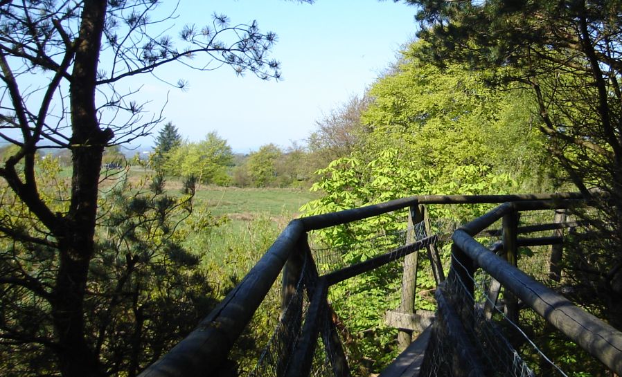 Tree Top Walkway in Palacerigg Country Park