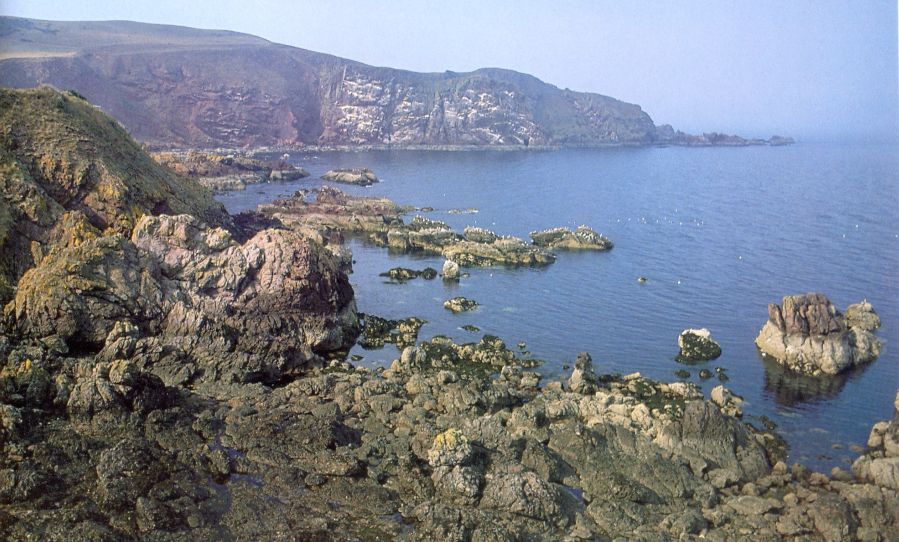 St. Abbs Head on the coast of Berwickshire