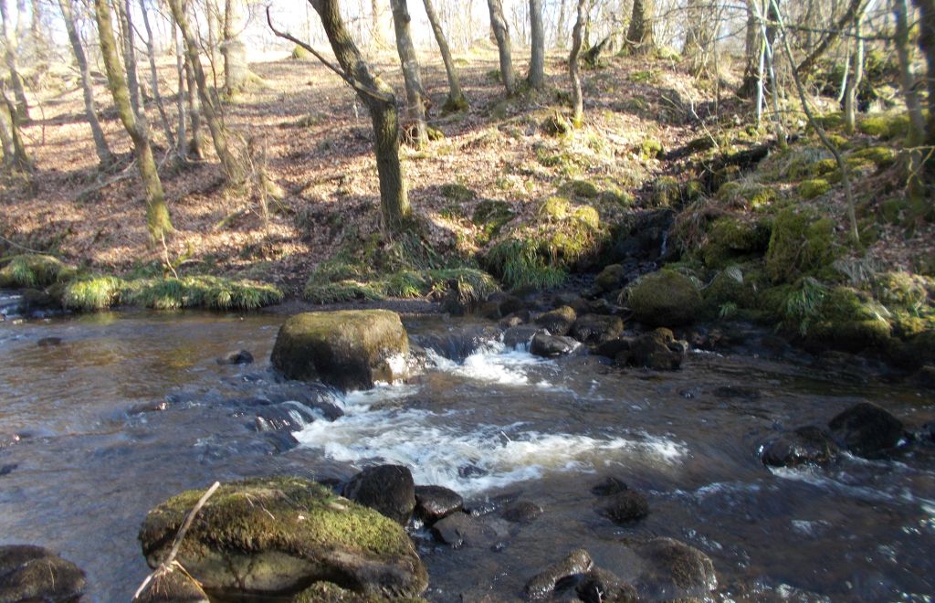 Allander River at Khyber Pass