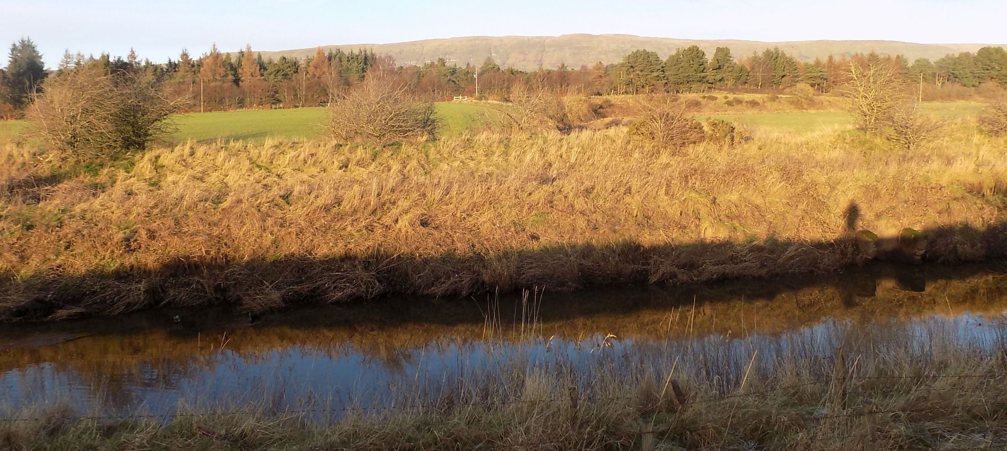 Kelvin River from south bank