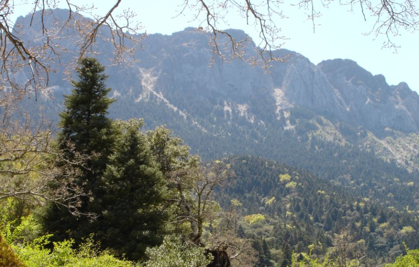 Sierra de Grazalema NP in Andalucia region of Southern Spain