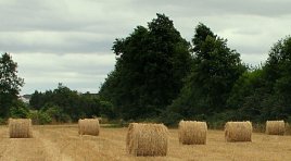 Hay Rolls