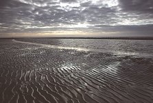 Sand Ripples